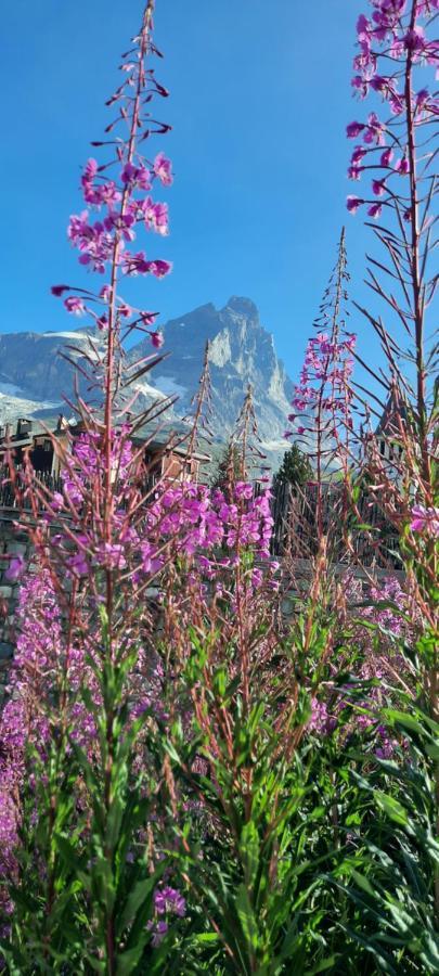 Maison Meynet Mountain Charm Breuil-Cervinia Εξωτερικό φωτογραφία